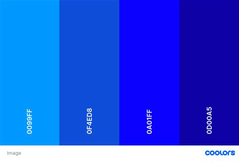 10 Kode Warna Biru Pas Foto Terbaik untuk Hasil Terbaik